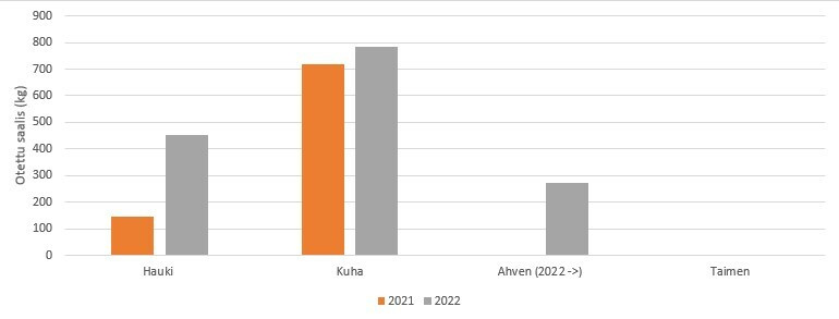 Saalis otettu ja vapautettu 2021-2022