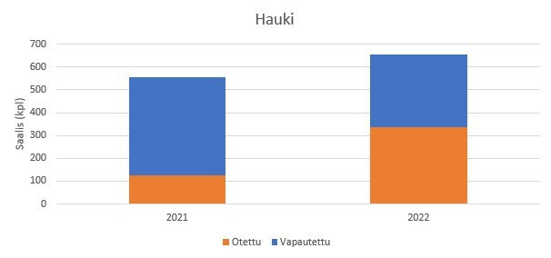 Hauki 2021-2022