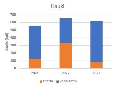 Hauki 2021-2022
